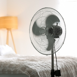 Floor Fans